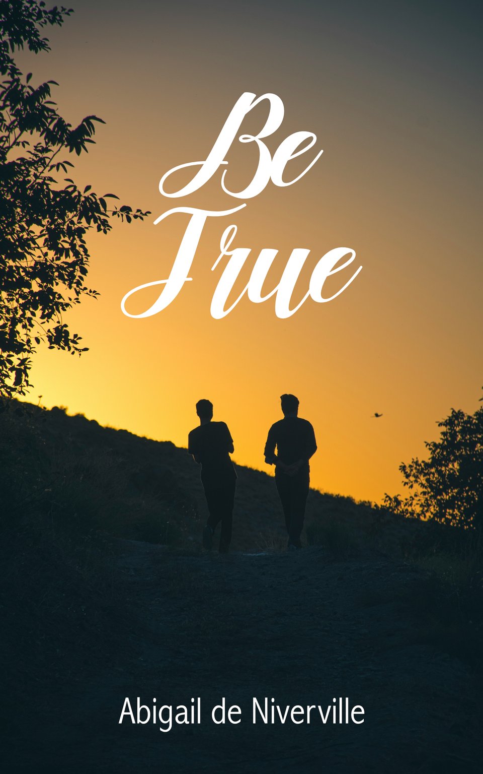 Book cover for Be True by Abigail de Niverville. The cover image is a photo of two silhouettes walking on a hill with trees in the foreground. The sky is orange and yellow. The title is written in cursive and the author name is in sans serif.