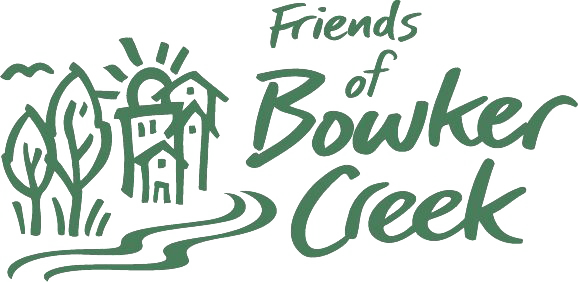 Workshop and concerts