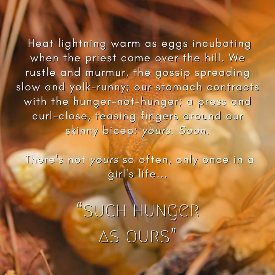 a promo graphic depicting a snake on a nest of eggs. text reads: "Heat lightning warm as eggs incubating when the priest come over the hill. We rustle and murmur, the gossip spreading slow and yolk-runny; our stomach contracts with the hunger-not-hunger; a press and curl-close, teasing fingers around our skinny bicep: yours. soon. There's not yours so often, only once in a girl's life..." The story title is below the text block: "Such Hunger As Ours."