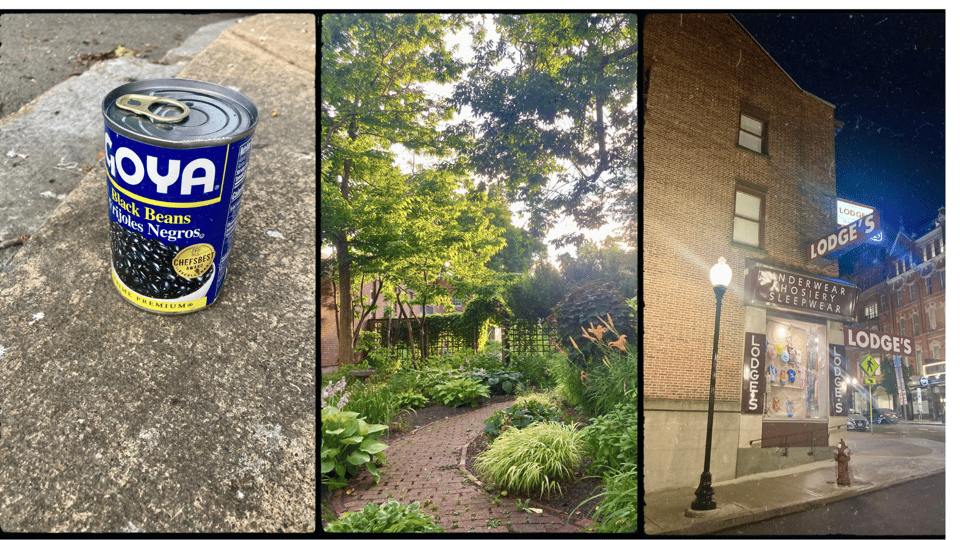 3 photos in a frame. L-R: a can of Goya black beans sitting on a curb; a lush green park with a brick path; a store in downtown Albany named Lodge's, with multiple signs to that effect.