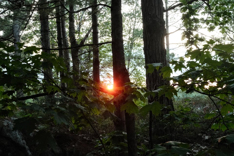 A Gravenhurst sunset