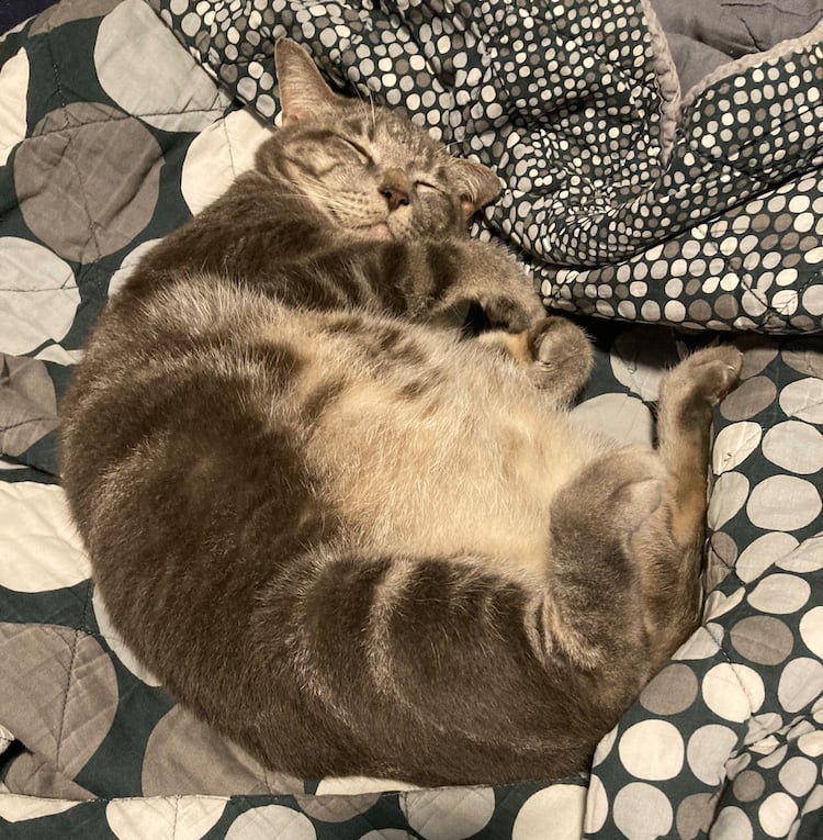 Luca sleeping