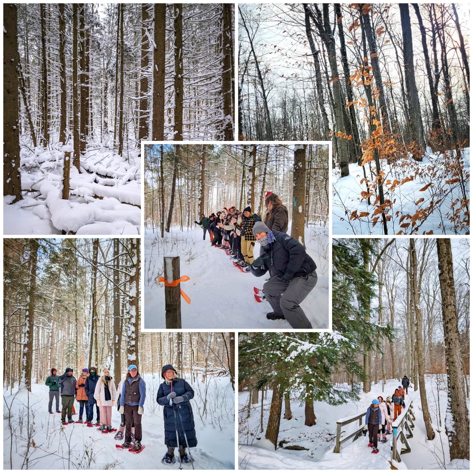 Some photos from our snowshoe hike at Highland Forest