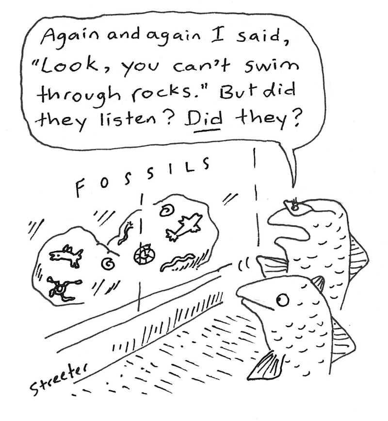 Cartoon of a fish discussing fossils in a rock