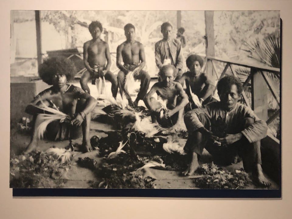 Black-and-white photo of southeast Asian men seated in a rough semi-circle on the floor of a veranda or on a bench at the back, with feather plumes in their hands and in piles on the floor, looking serious. Some are in shirts and trousers; others are in loin coverings.