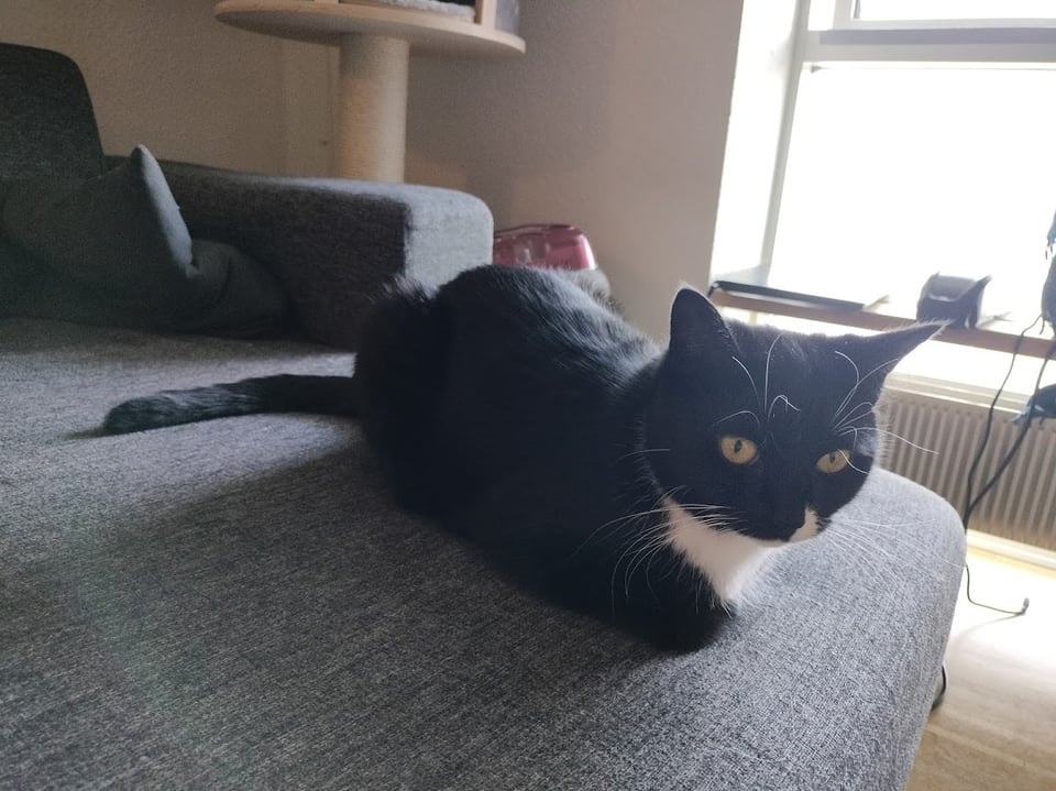 the RAREST of yoshis (very RARE)