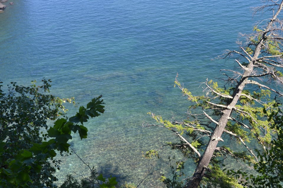 The clear waters of a lake, with trees leaning out over it.