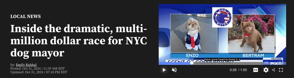 A screenshot of a Pix11 headline that says "Inside the dramatic, multi-million dollar race for NYC dog mayor"