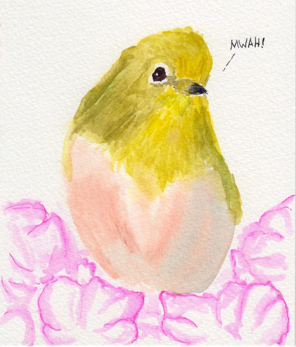 Watercolor of a Japanese White Eye bird among cherry blossoms. The bird is saying "MWAH!"