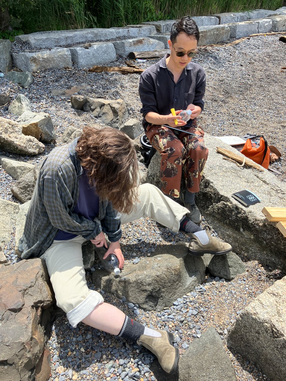 cutting into the plastorgans