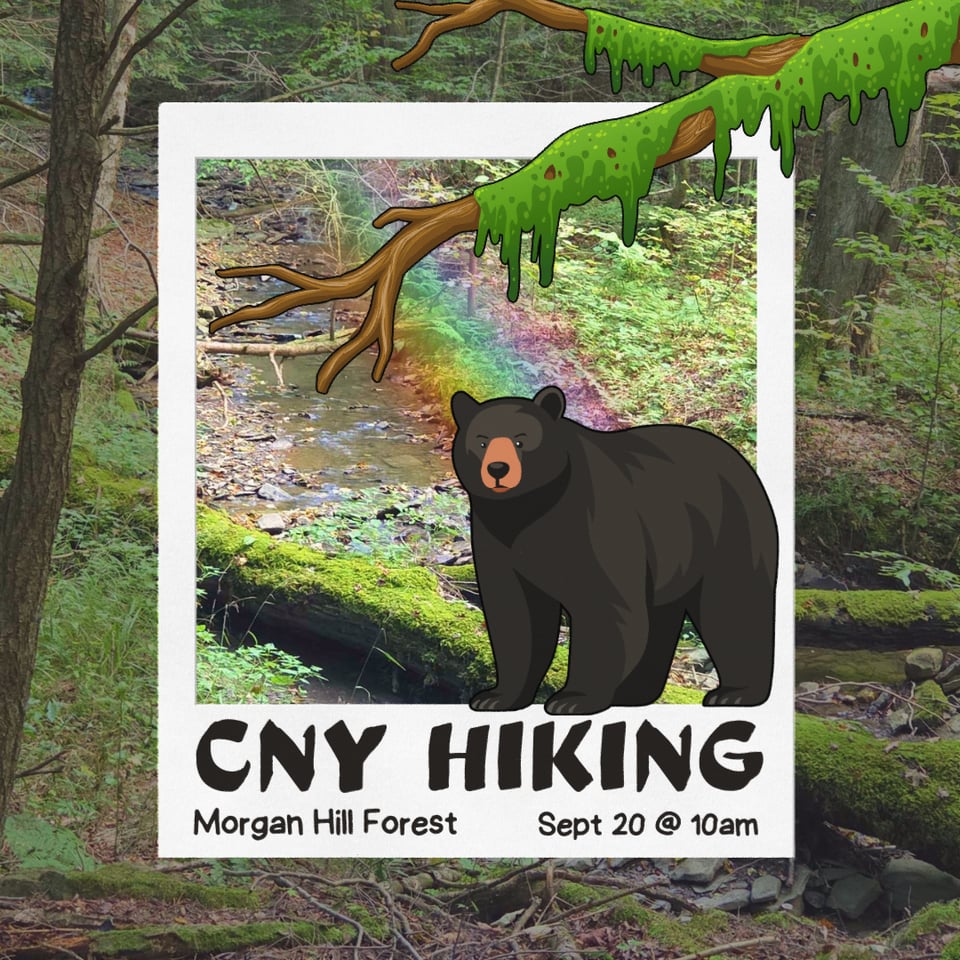 CNY Hiking Hike at Morgan Hill State Forest on September 20th at 10 AM.