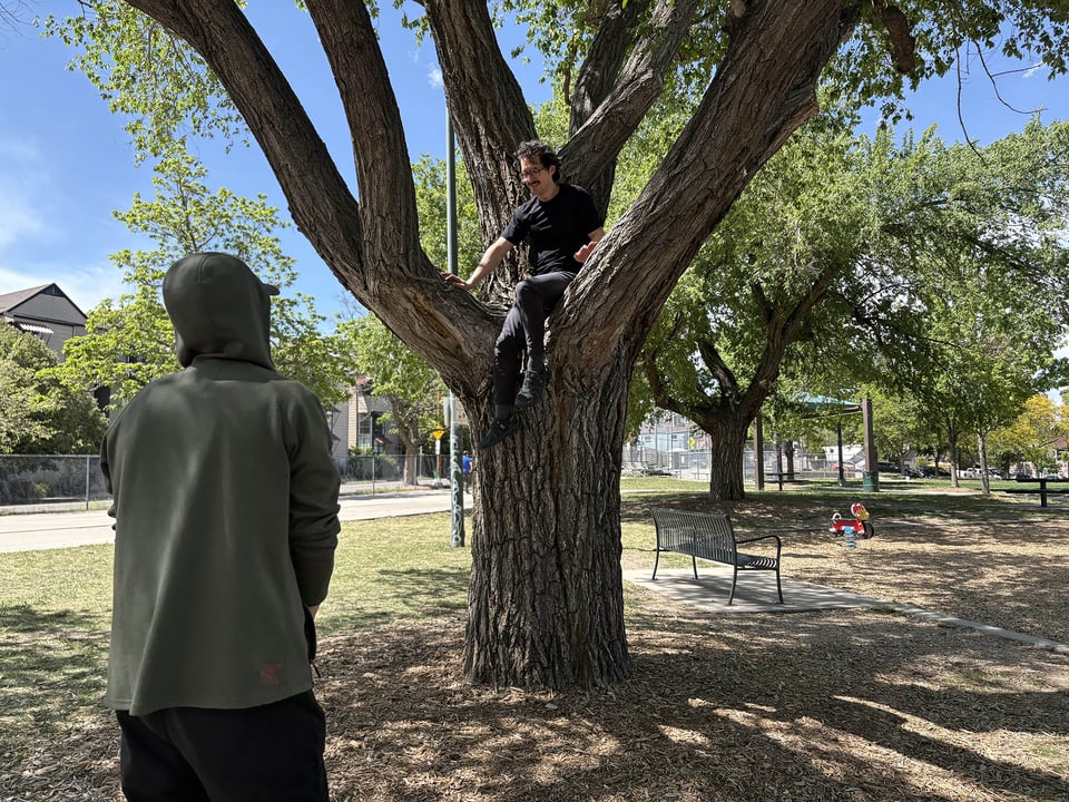 Ivan sitting in a tree.