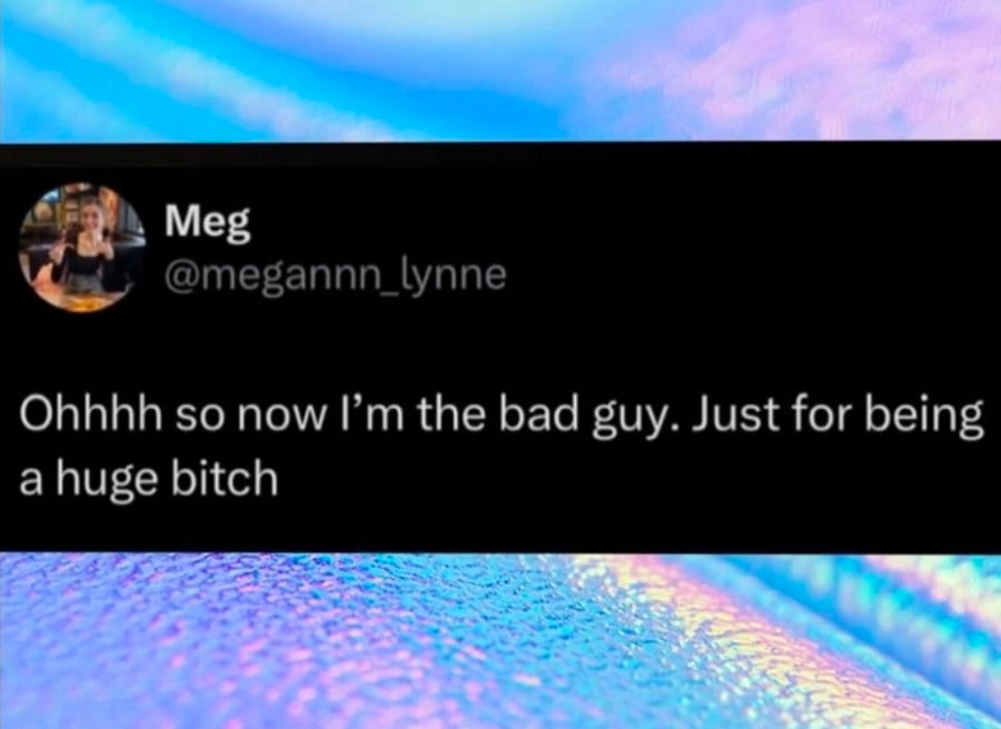 twitter post from @megannn_lynne: Ohhh so now I'm the bad guy. Just for being a huge bitch