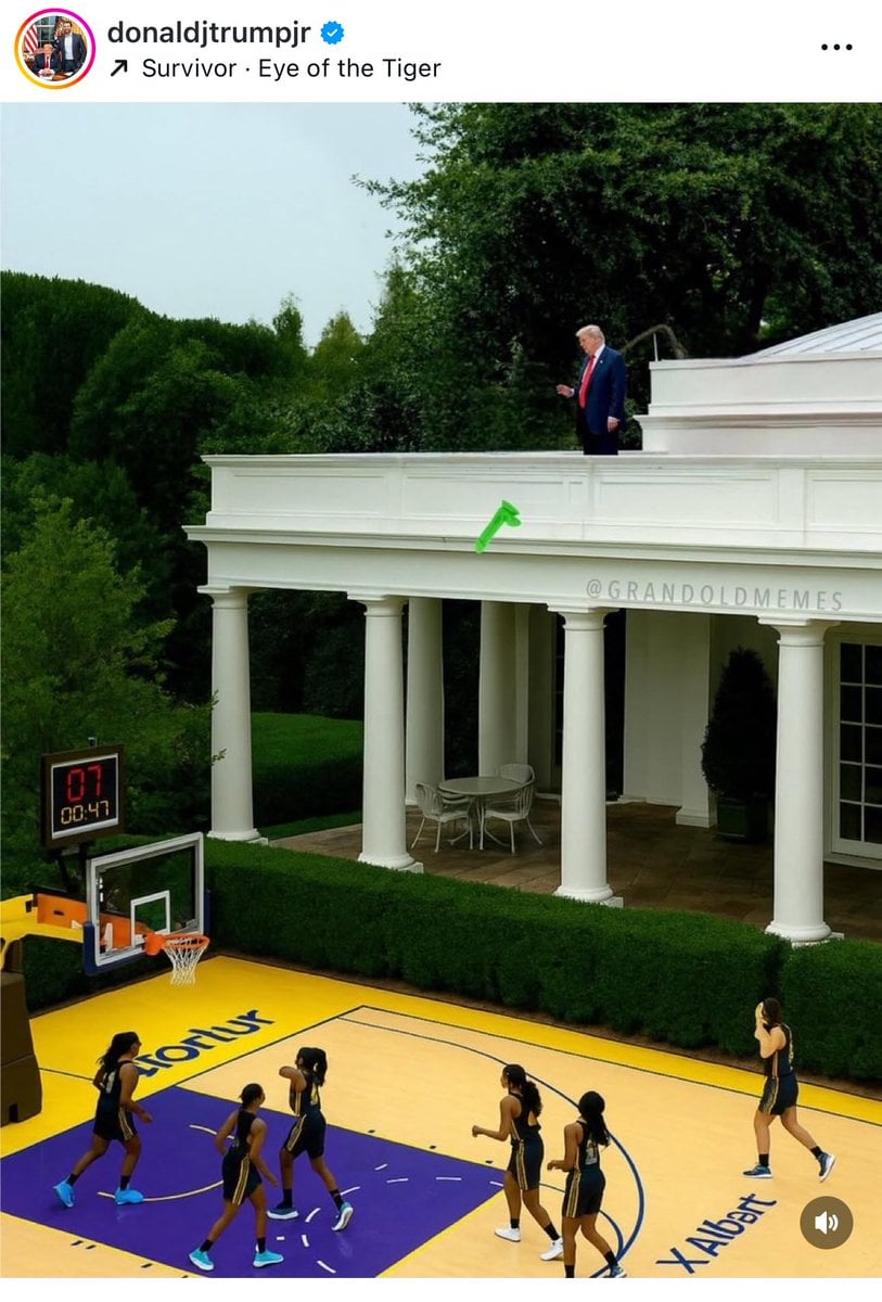 Donald Trump, Jr. posted a photo of his father throwing down green dildos from the White House roof onto a basketball court with women players