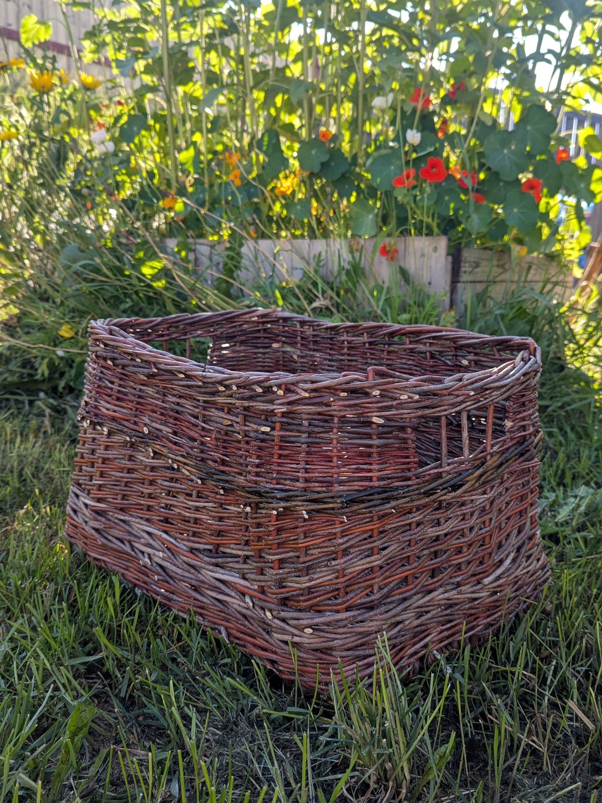 🧺 October - Alberta Basketry News