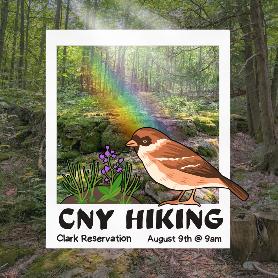 CNY Hiking Hike at Clark Reservation State Park, August 9th at 9 AM