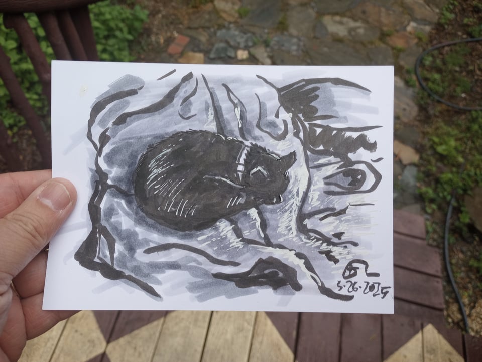 a drawing of Babydoll the cat