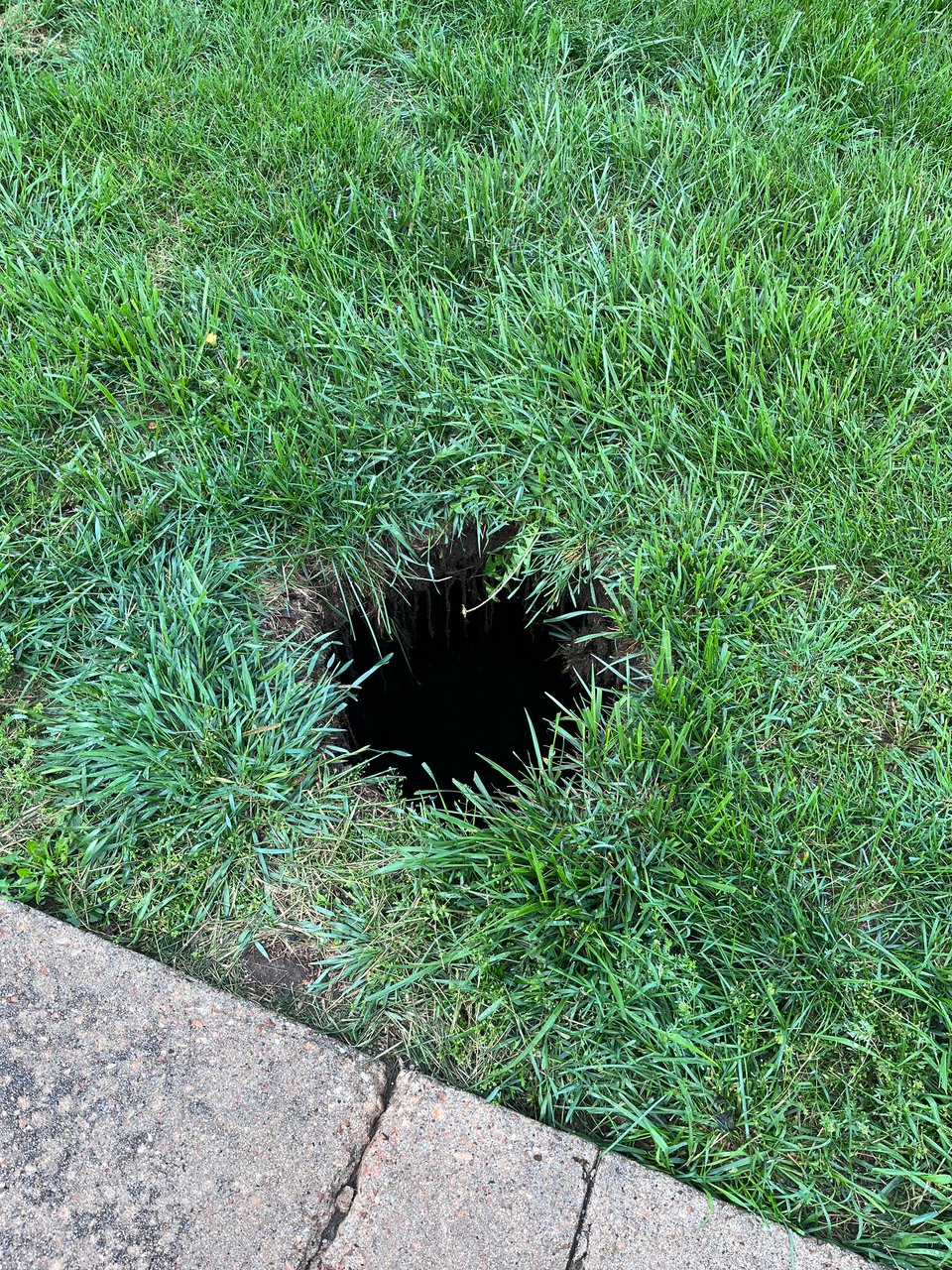 Tessa Gratton newsletter #45: Holes