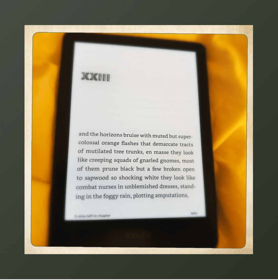 kindle book report angel down