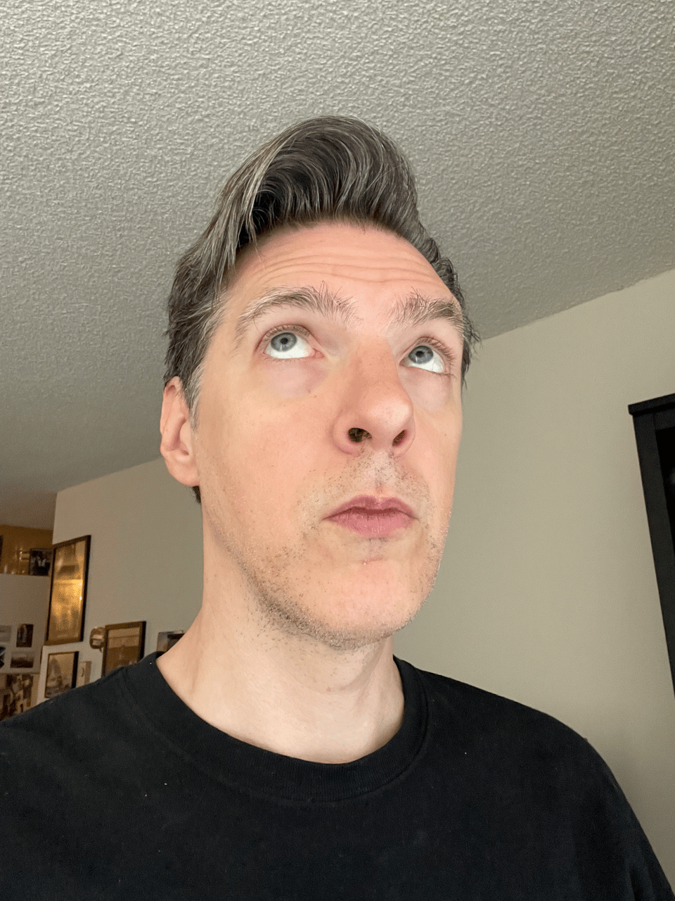 A picture of a human man with tall hair. The human is not Conan O'Brien but his hair looks similar