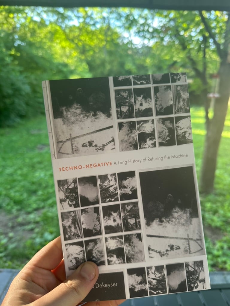 my photo of the Techno-Negative cover; in the background is a tree and grass in the morning light