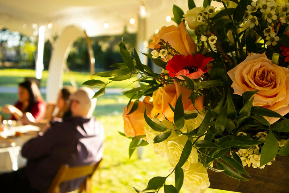 photograph of floral display in focus, outdoor dining with people out of focus