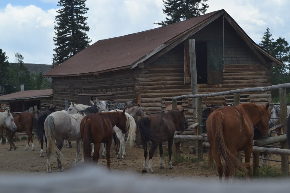 A corral in front of a barn. It contains a variety of horses of different colors.