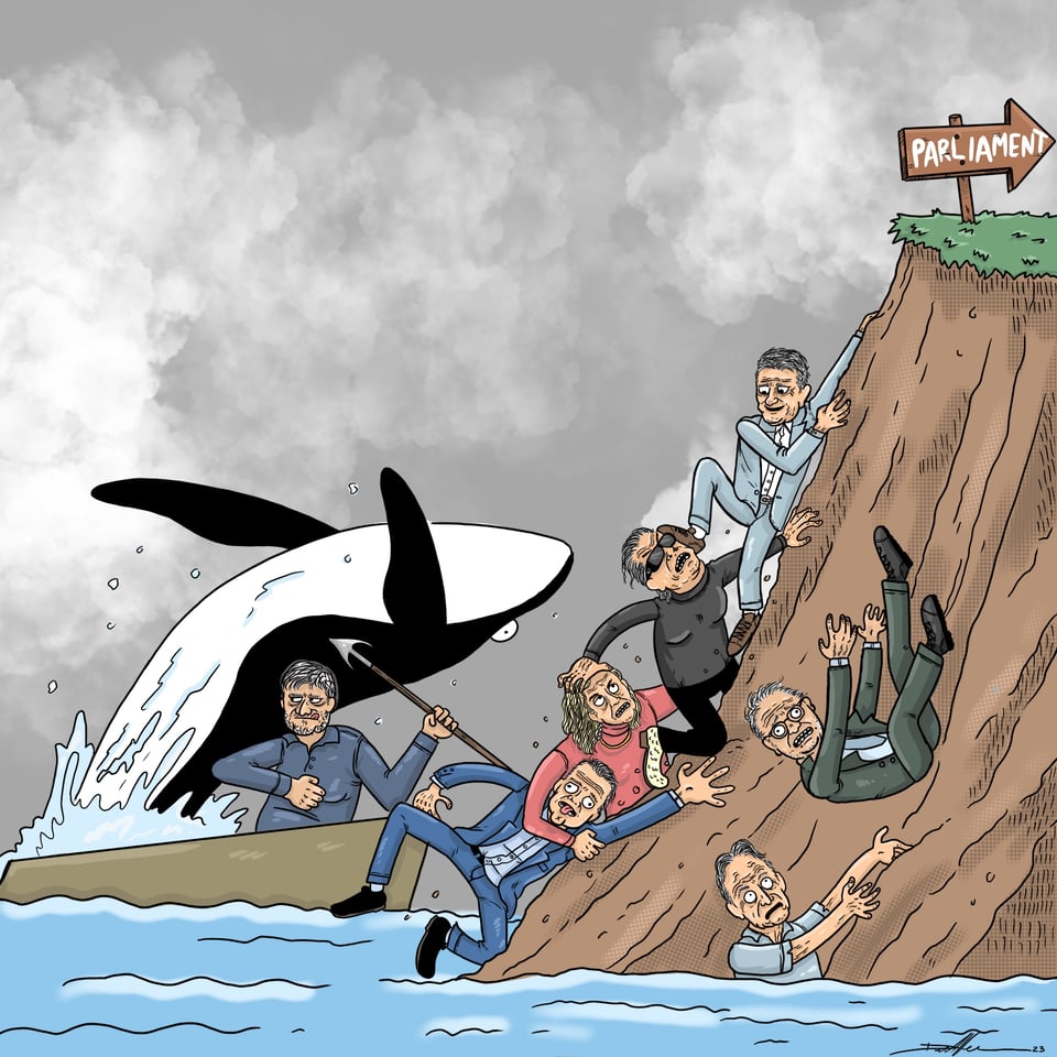 A collection of right-wing politicians, all mentioned in the article, fight eachother up a cliff with an election sign at the bottom, and ocean at the bottom. Winston Peters is winning the fight, his foot on Brian Tamaki's head. A whale leaps past in the background.