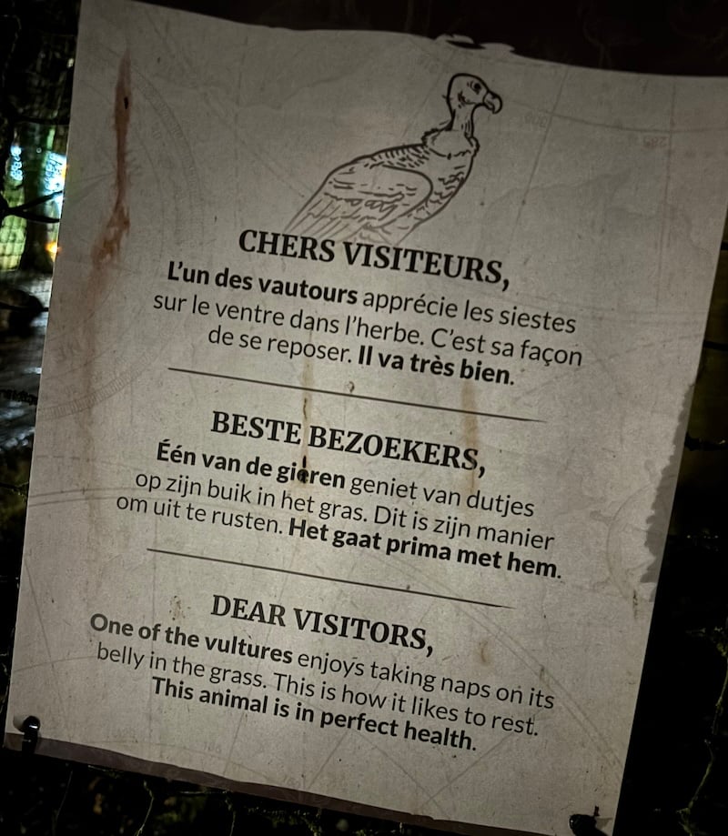 Sign reading: "DEAR VISITORS, One of the vultures enjoys taking naps on its belly in the grass. This is how it likes to rest. This animal is in perfect health."
