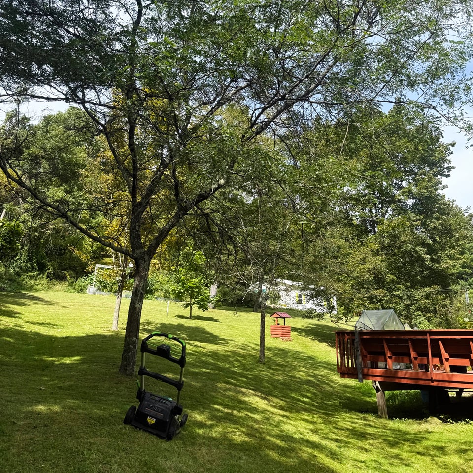 a beast at rest, the lawnmower sits idle in the backyard