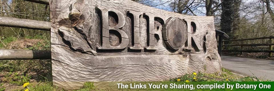 A view of the wood-carved BiFOR sign, outside BiFOR's FACE experiment.