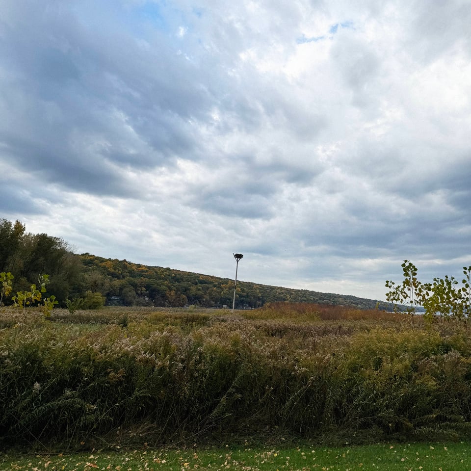 an osprey nest perched on a tall pole high above Caluga Lake against a cloudy blue sky