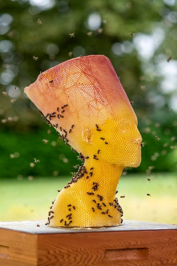 Un busto de aspecto de reina egipcia con un tocado cilíndrico, con textura de panal de abejas de color miel. La escultura está sobre una caja de apicultor, y tiene abejas que la recorren.