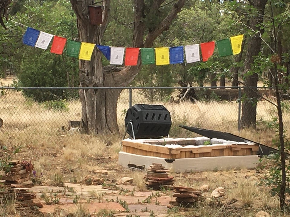 [Root Living Journals] Part 14: Second Desert Summer, Tiny Shifts
