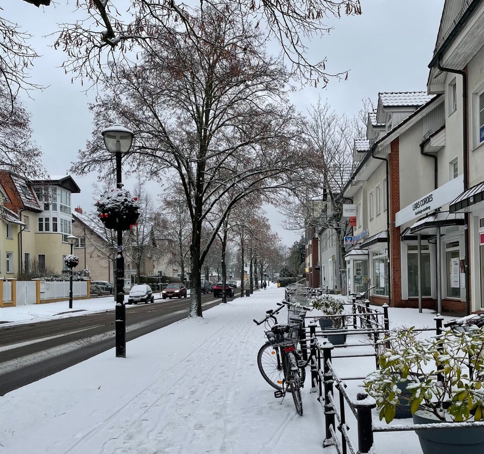 A snow covered street with bare trees and a wide footpath; with a bike standing in the snow and some plants. There are christmas decorations on the street light pole.