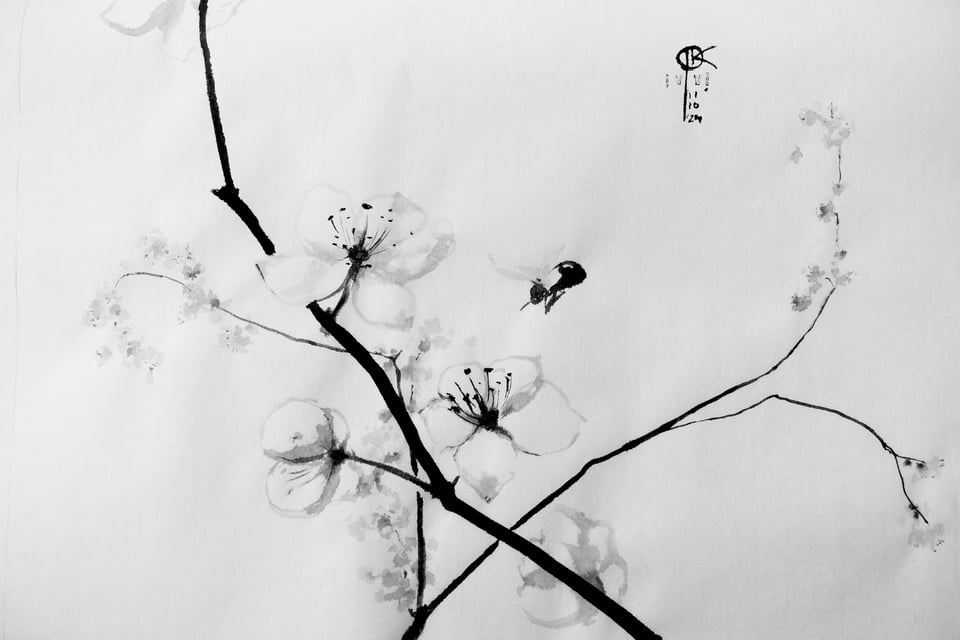 Pomóżcie wybrać plansze! :)