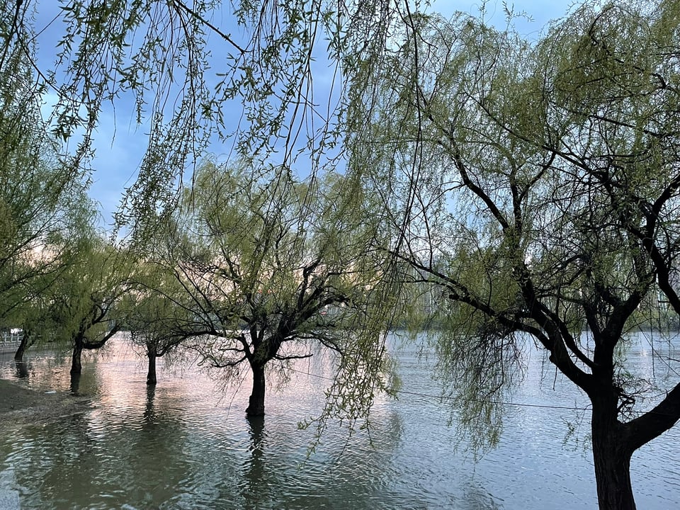 May 2025 // An Interlude in China Mainland