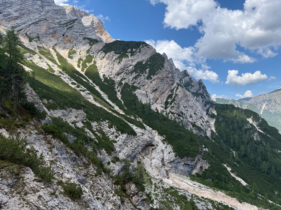 layers of trees and rock