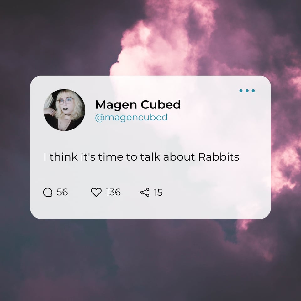 Social media graphic with a photo of me and the caption "I think it's time to talk about Rabbits"