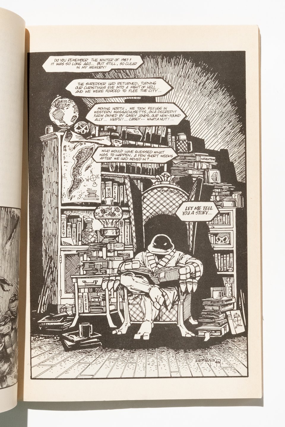 A page from Tales of the TMNT. A turtle is reading in a big chair in a library