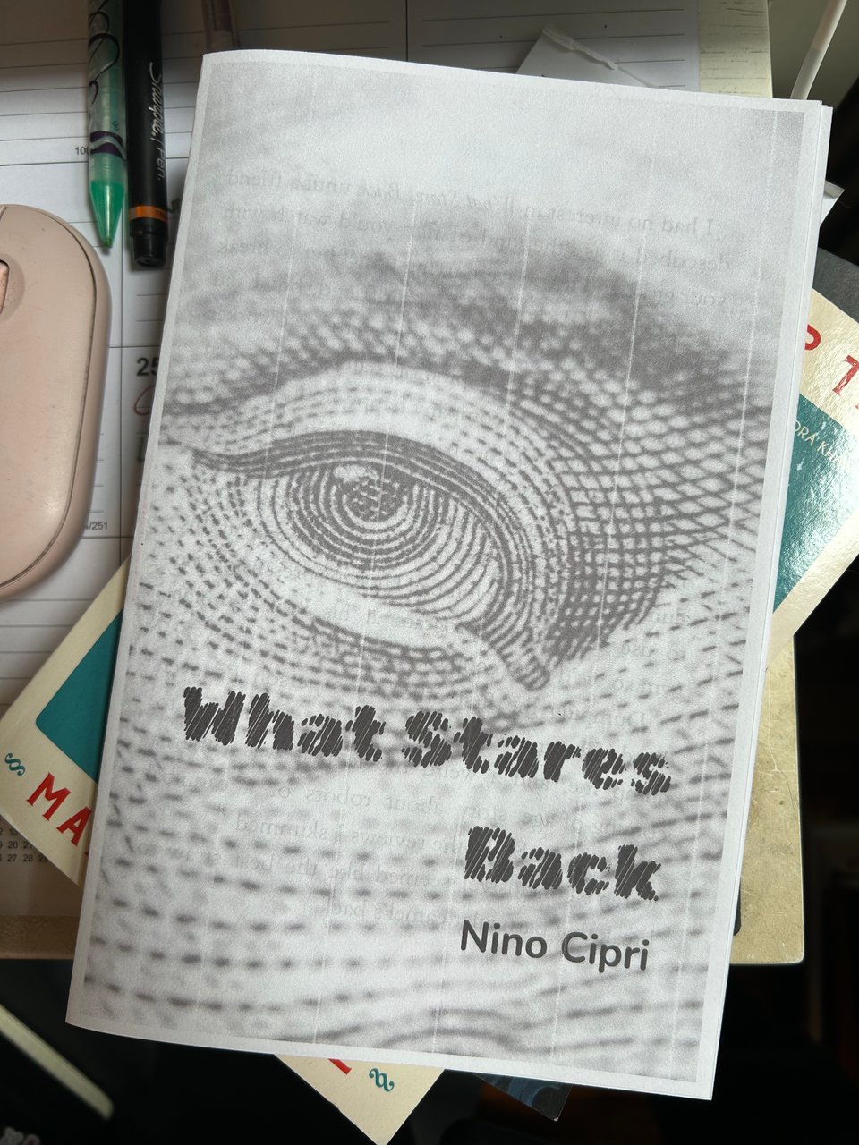 A close up of the cover of a zine called "What Stares Back" by Nino Cipri. The cover shows a zoomed-in image of an engraved eye.