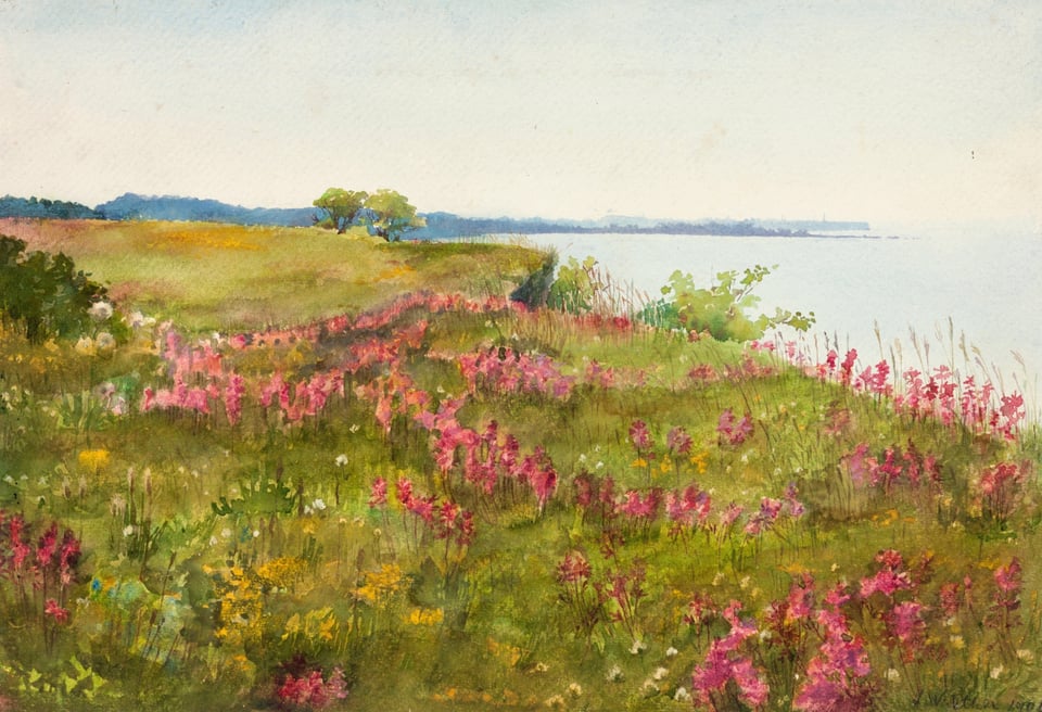 A field of pink and yellow flowers. In the background, a blue ocean with a dark coast.