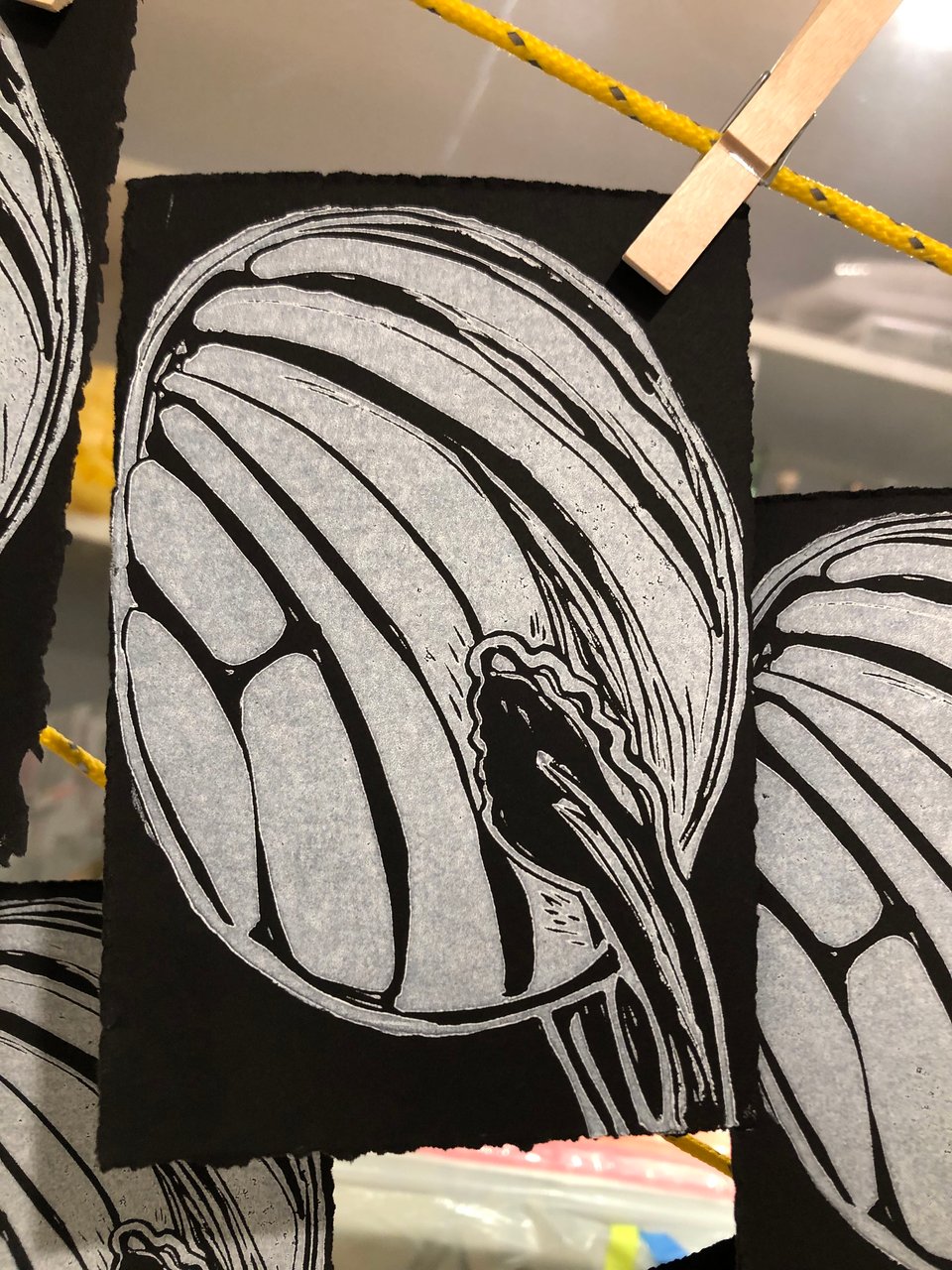 a white print of a concha on a black background
