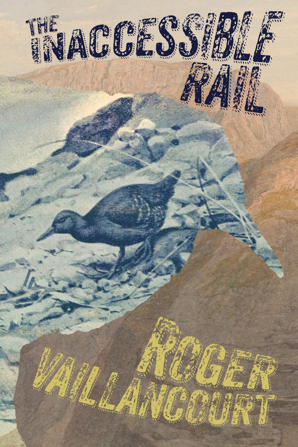 There is a shape of a bird (a rail) overlaid on a desert background. Inside the bird shape there is an image of a bird on a shore. The title of the book is The Inaccessible Rail. And it’s by Roger Vaillancourt.