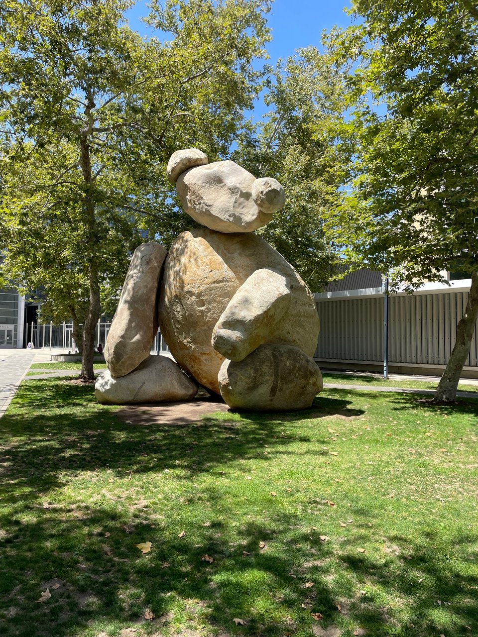Cute UCSD bear