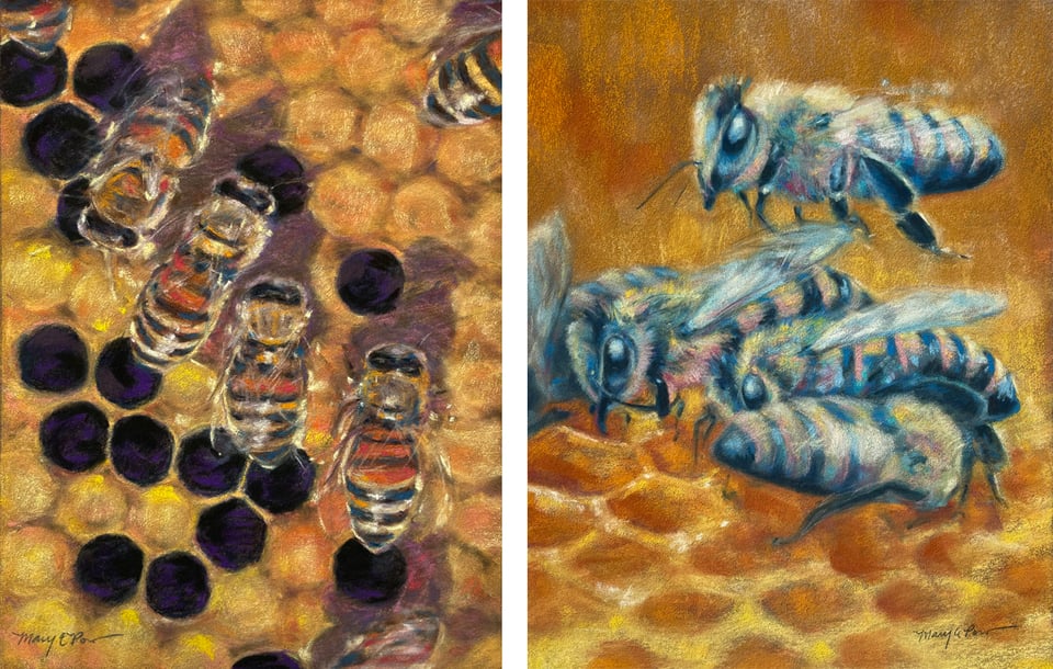 artworks of bees in their hives