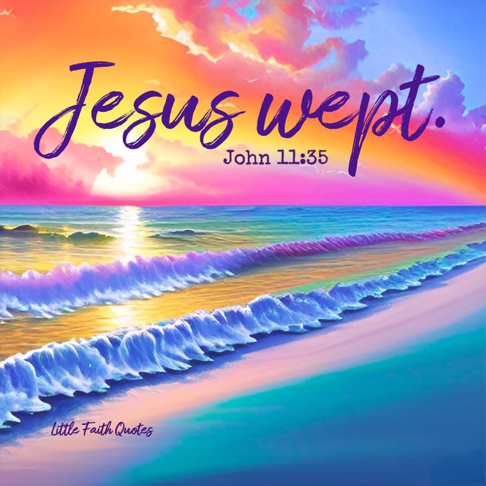 "Jesus wept." ~John 11:35. Image by: @Little Faith Quotes.