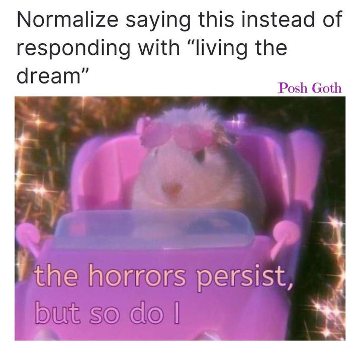 Normalize saying this instead of living the dream: the horrors persist, but so do I a hamster in a pink car with sunglassess