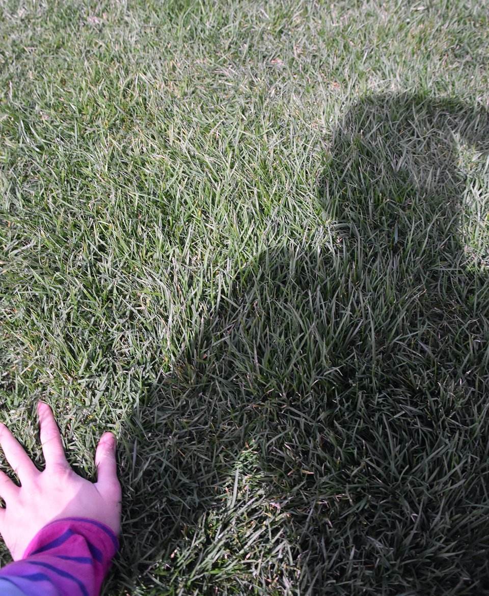 a person's shadow in the grass