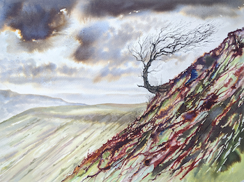 Landscape drawing with wind-bent tree on a mountainside.